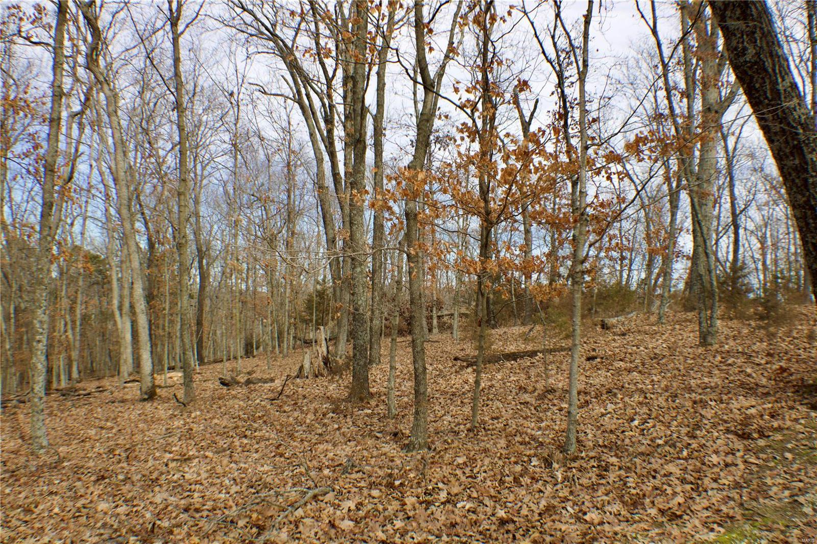 1 Misty Ridge (lot 2) Property Photo 5