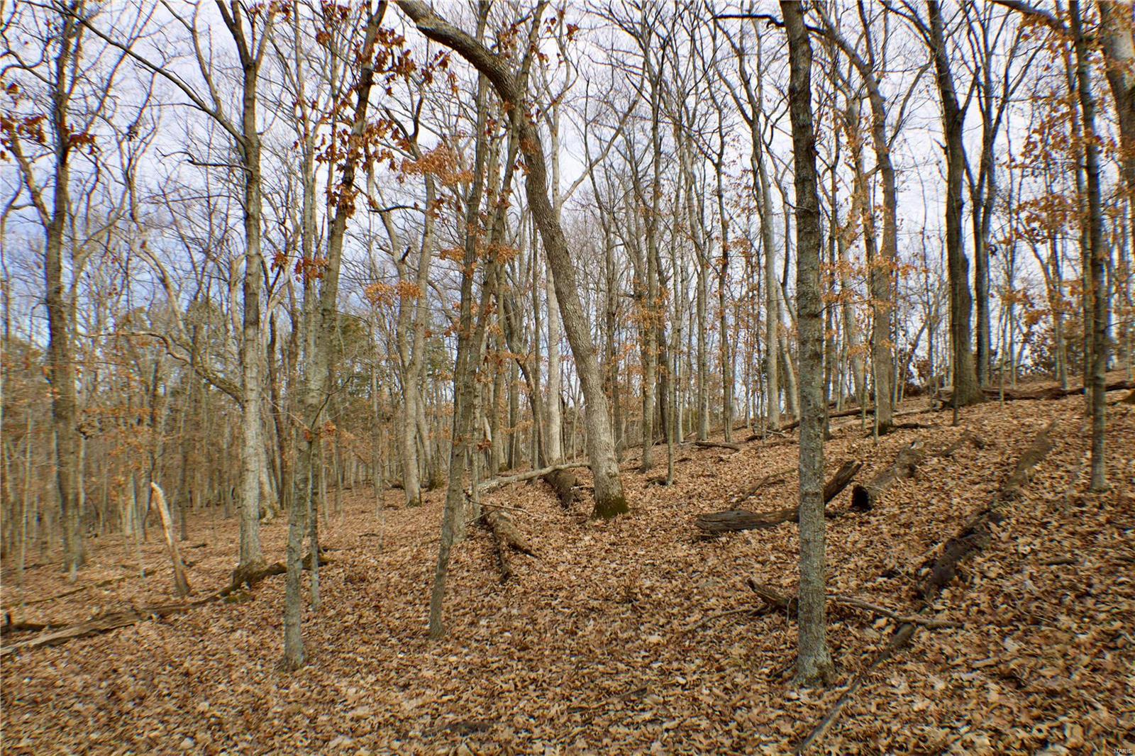 1 Misty Ridge (lot 2) Property Photo 7