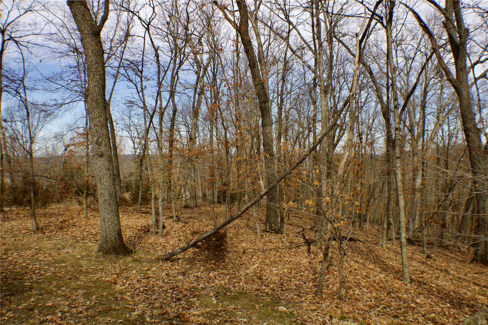 1 Misty Ridge (lot 2) Property Photo 8