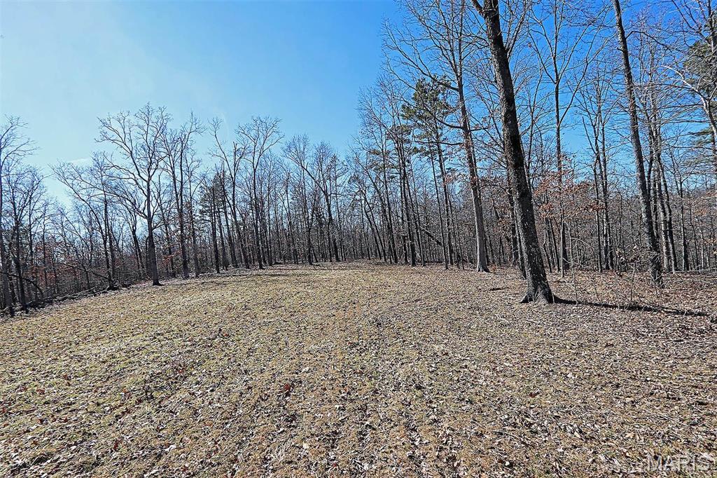 37801 State Highway Hh Property Photo 39