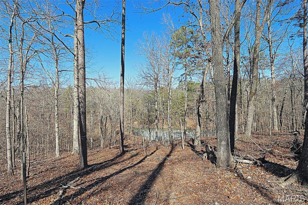 37801 State Highway Hh Property Photo 40