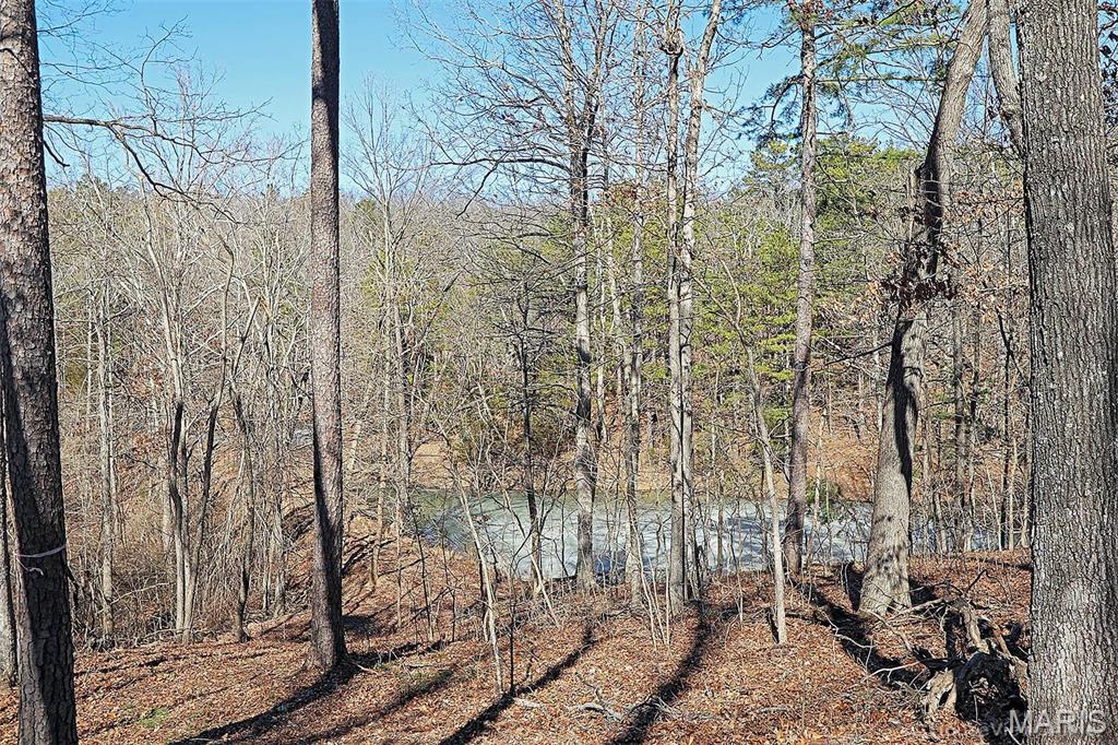 37801 State Highway Hh Property Photo 41