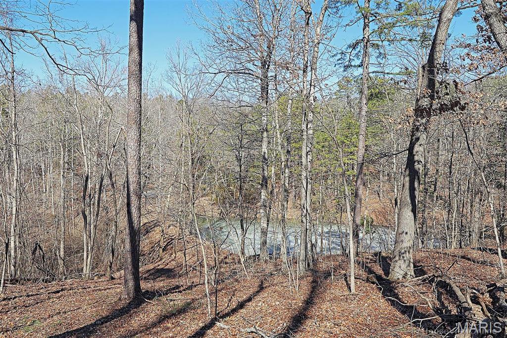 37801 State Highway Hh Property Photo 42