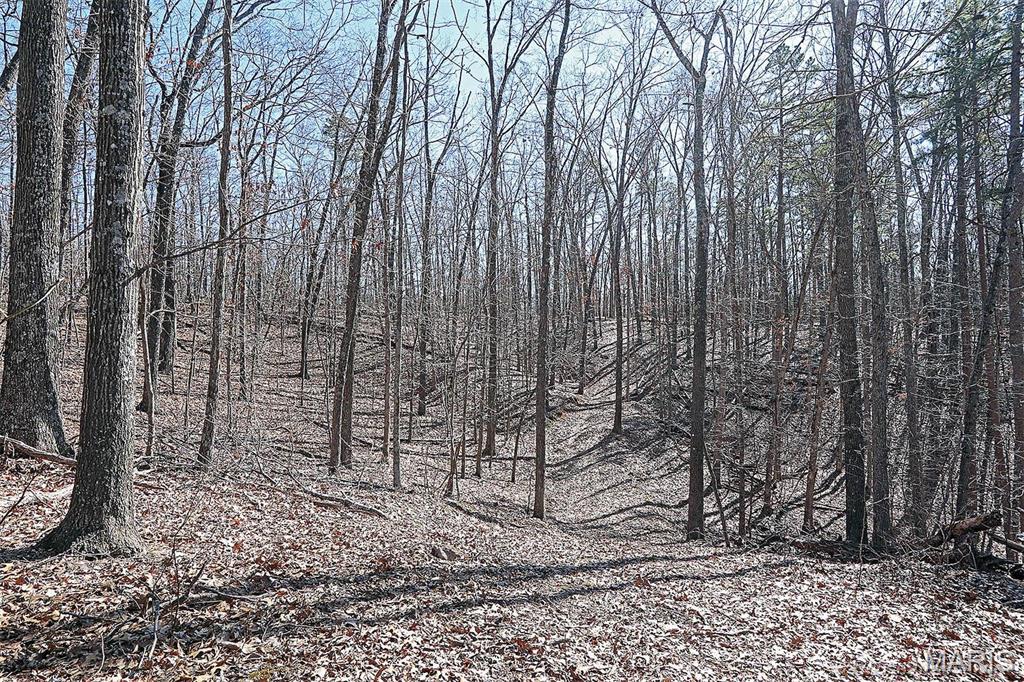 37801 State Highway Hh Property Photo 43