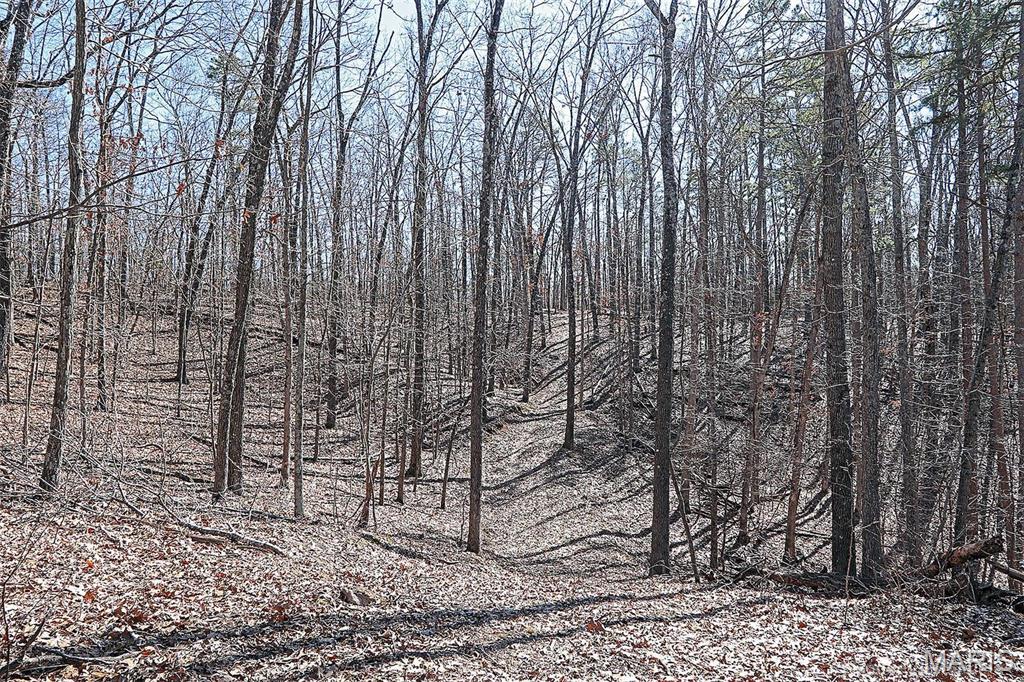 37801 State Highway Hh Property Photo 44