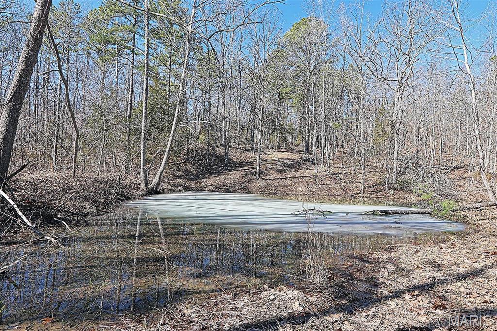 37801 State Highway Hh Property Photo 46