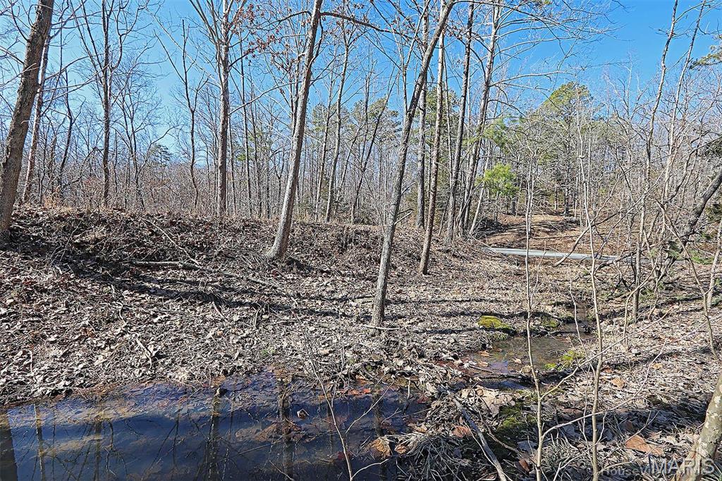 37801 State Highway Hh Property Photo 48