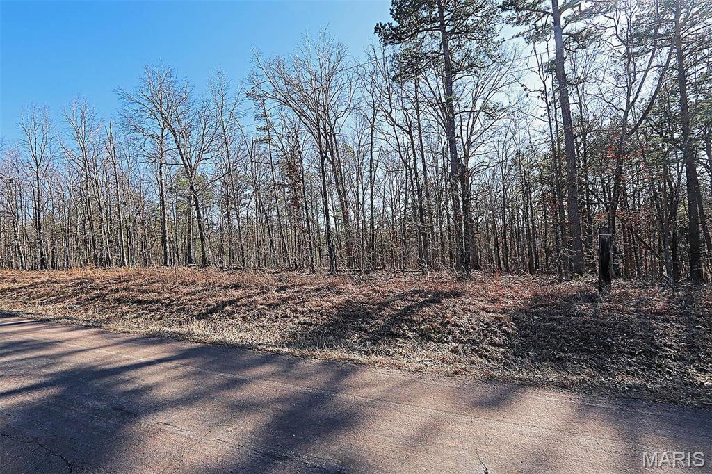 37801 State Highway Hh Property Photo 54