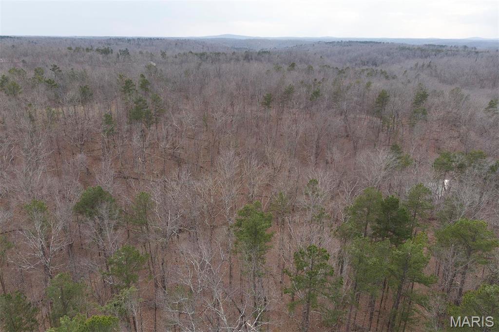 37801 State Highway Hh Property Photo 65