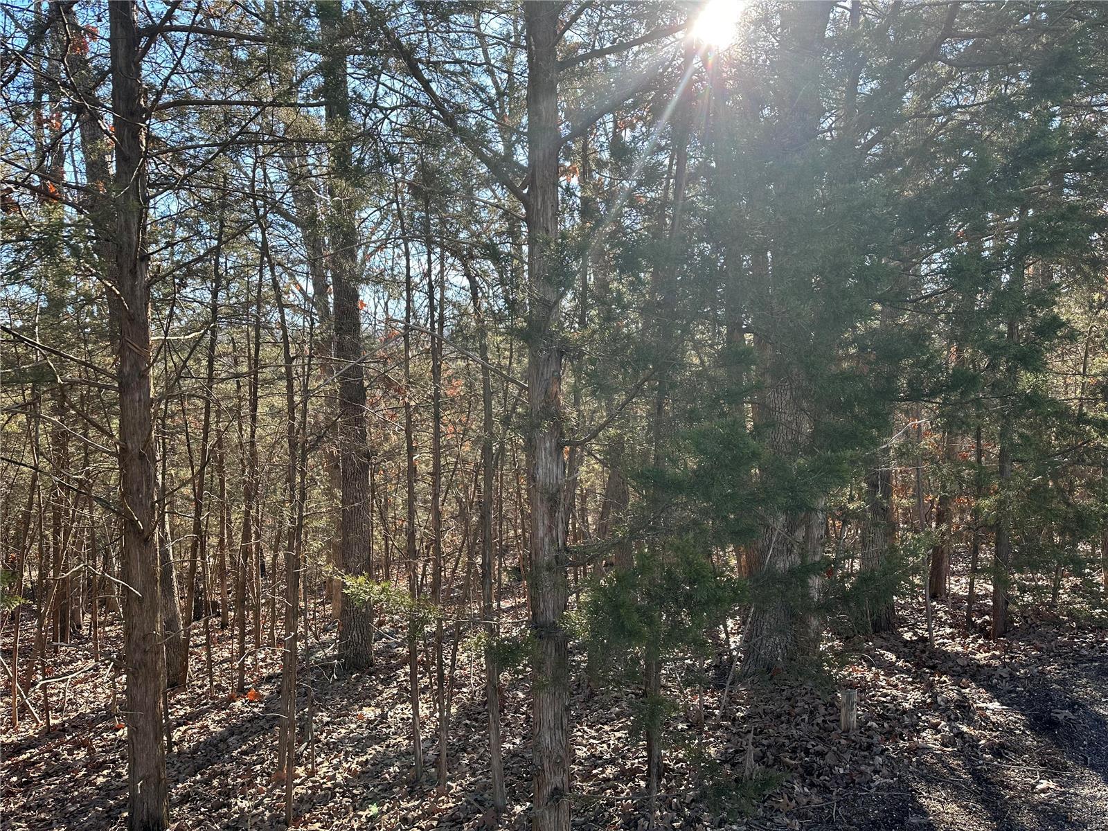 0 W Forest Lane Property Photo