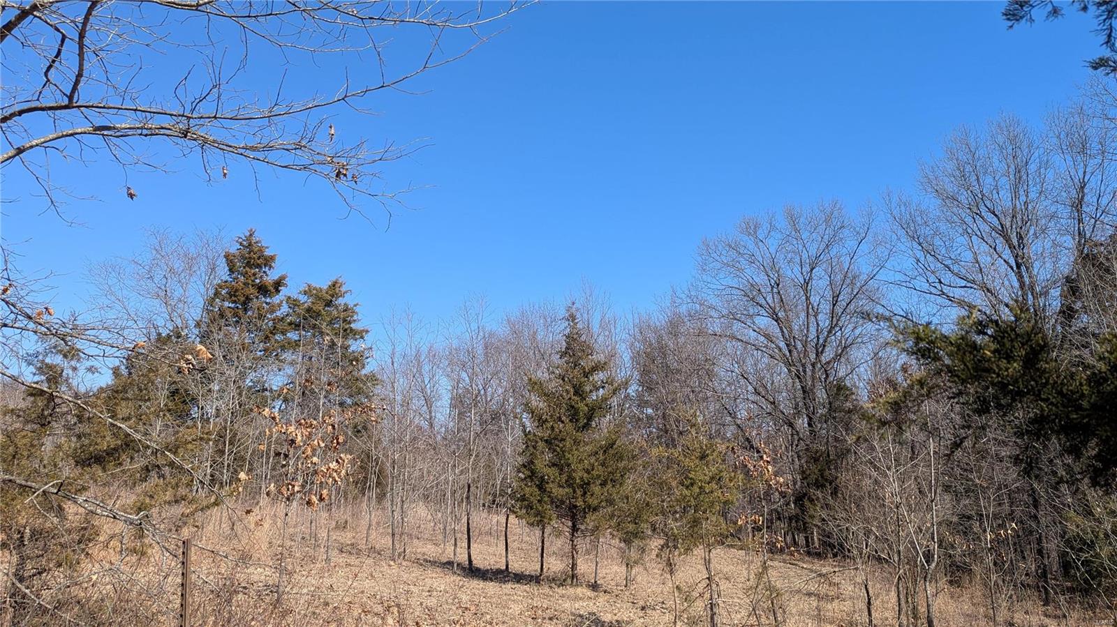 8 Windy Ridge Lane Property Photo 4
