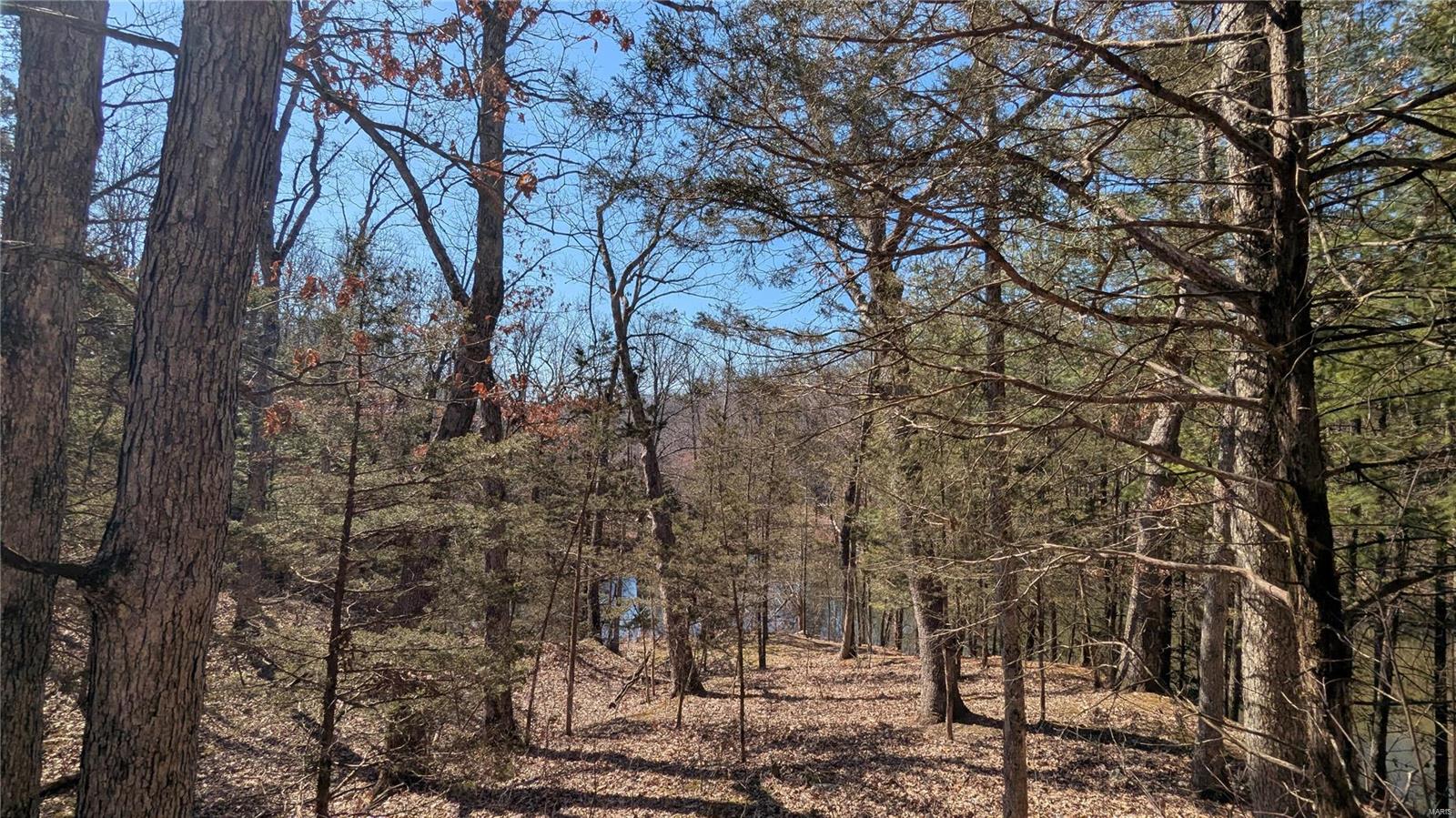 3 Windy Ridge Lane Property Photo 4
