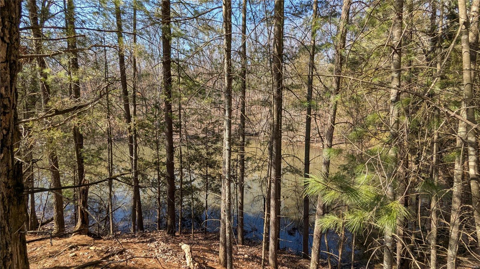 3 Windy Ridge Lane Property Photo 5