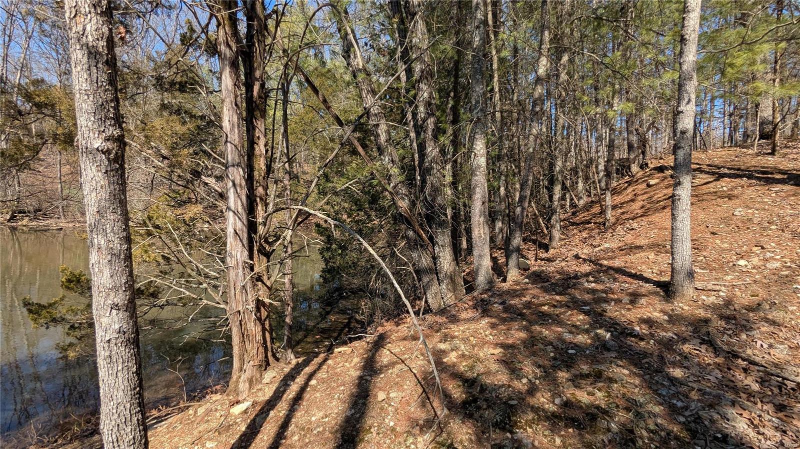 3 Windy Ridge Lane Property Photo 6