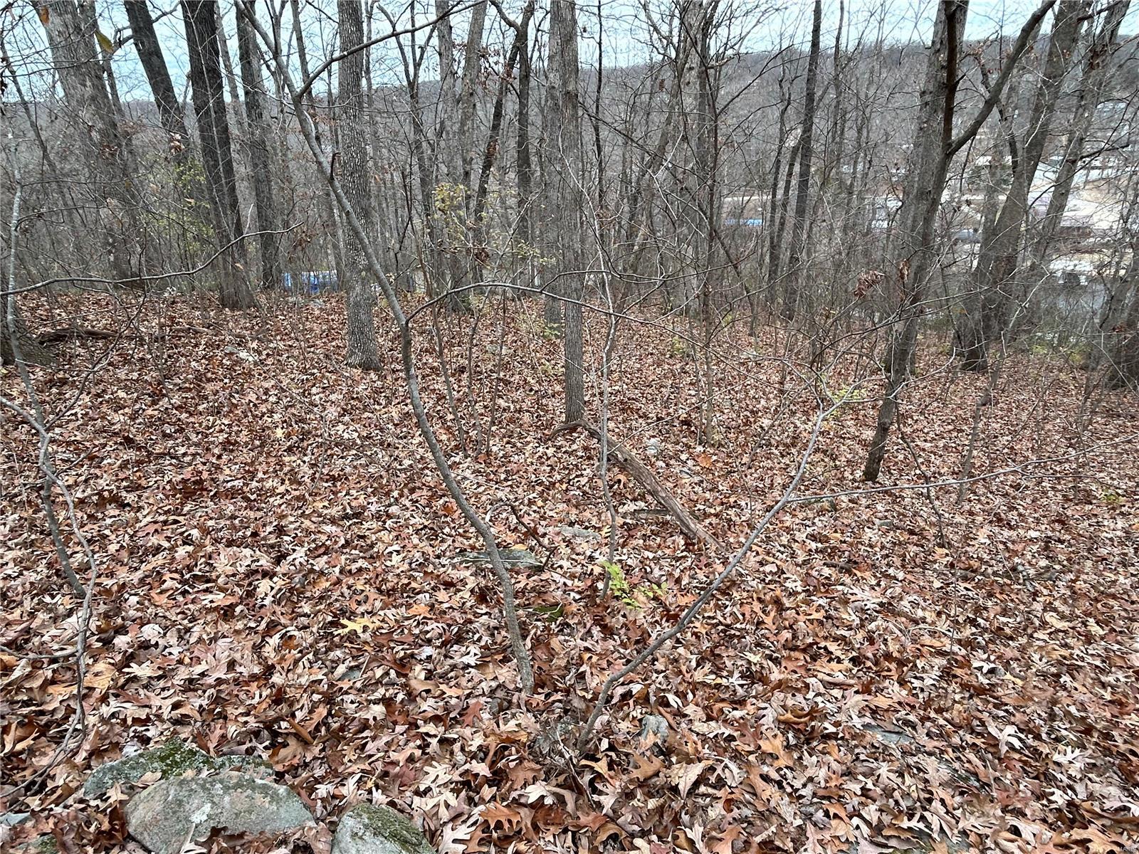 6366 Sioux Dr Property Photo 12