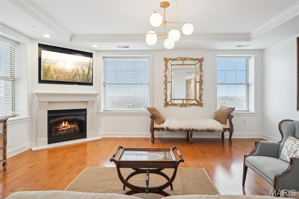 232 N Kingshighway Boulevard 1407 Property Photo 4