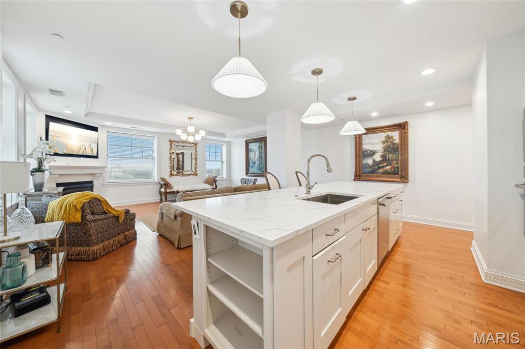 232 N Kingshighway Boulevard 1407 Property Photo 6