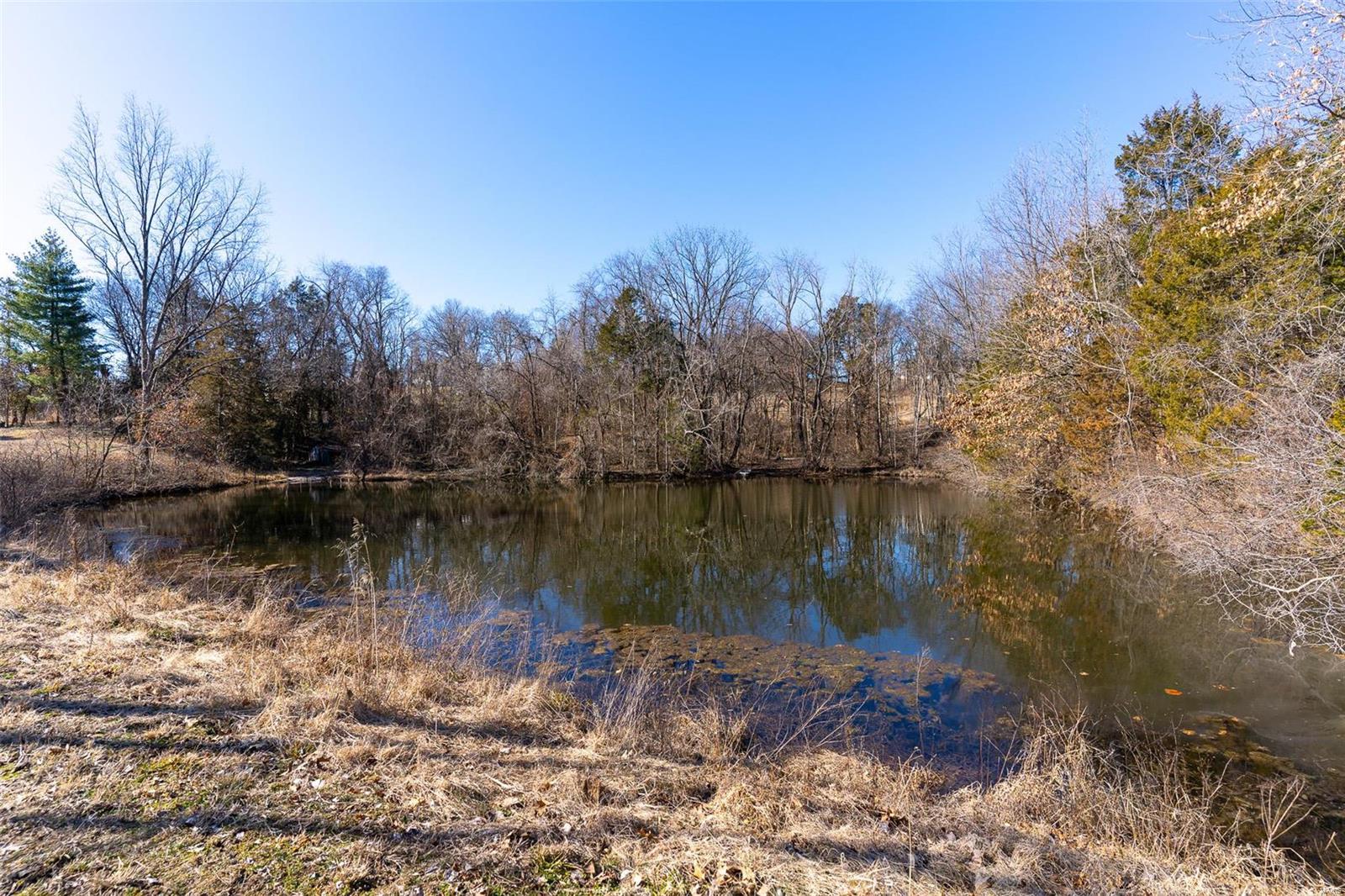 5295 Hackmann Road Property Photo 4