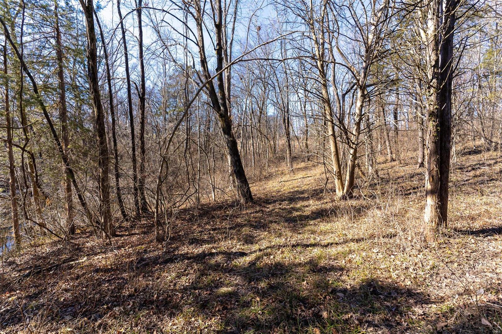 5295 Hackmann Road Property Photo 5