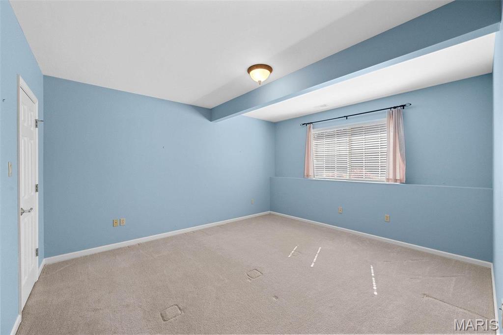 14798 Thornbird Manor Parkway Property Photo 15