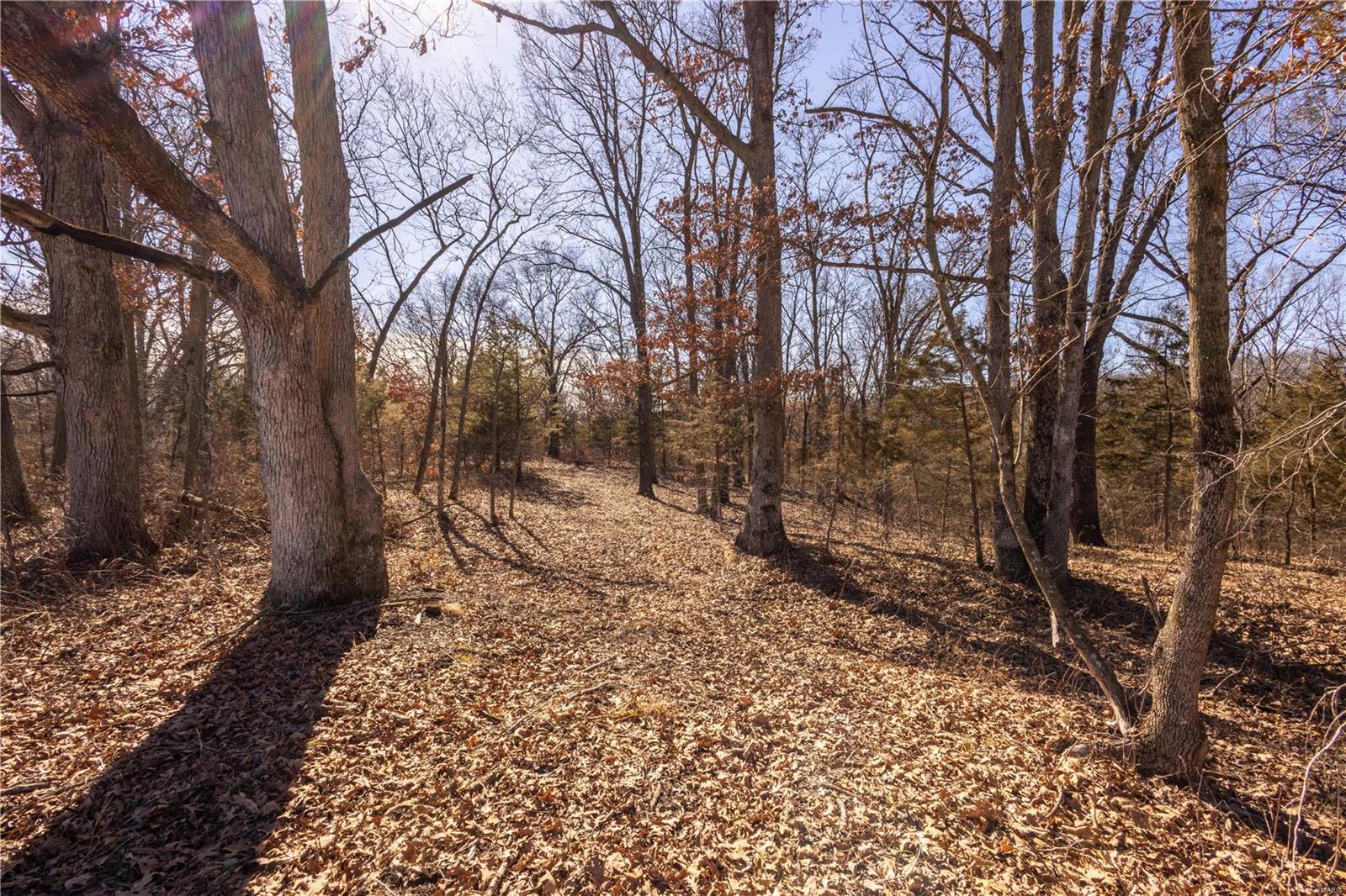 343 Monroe Road Property Photo