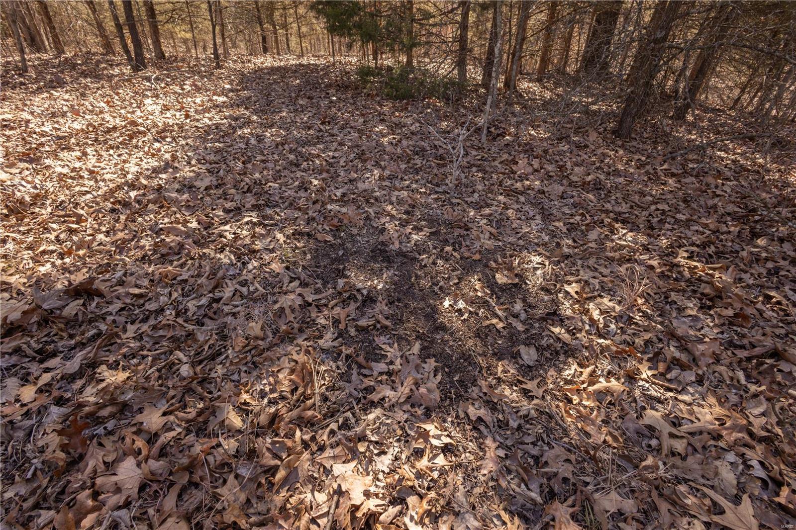 343 Monroe Road Property Photo 6
