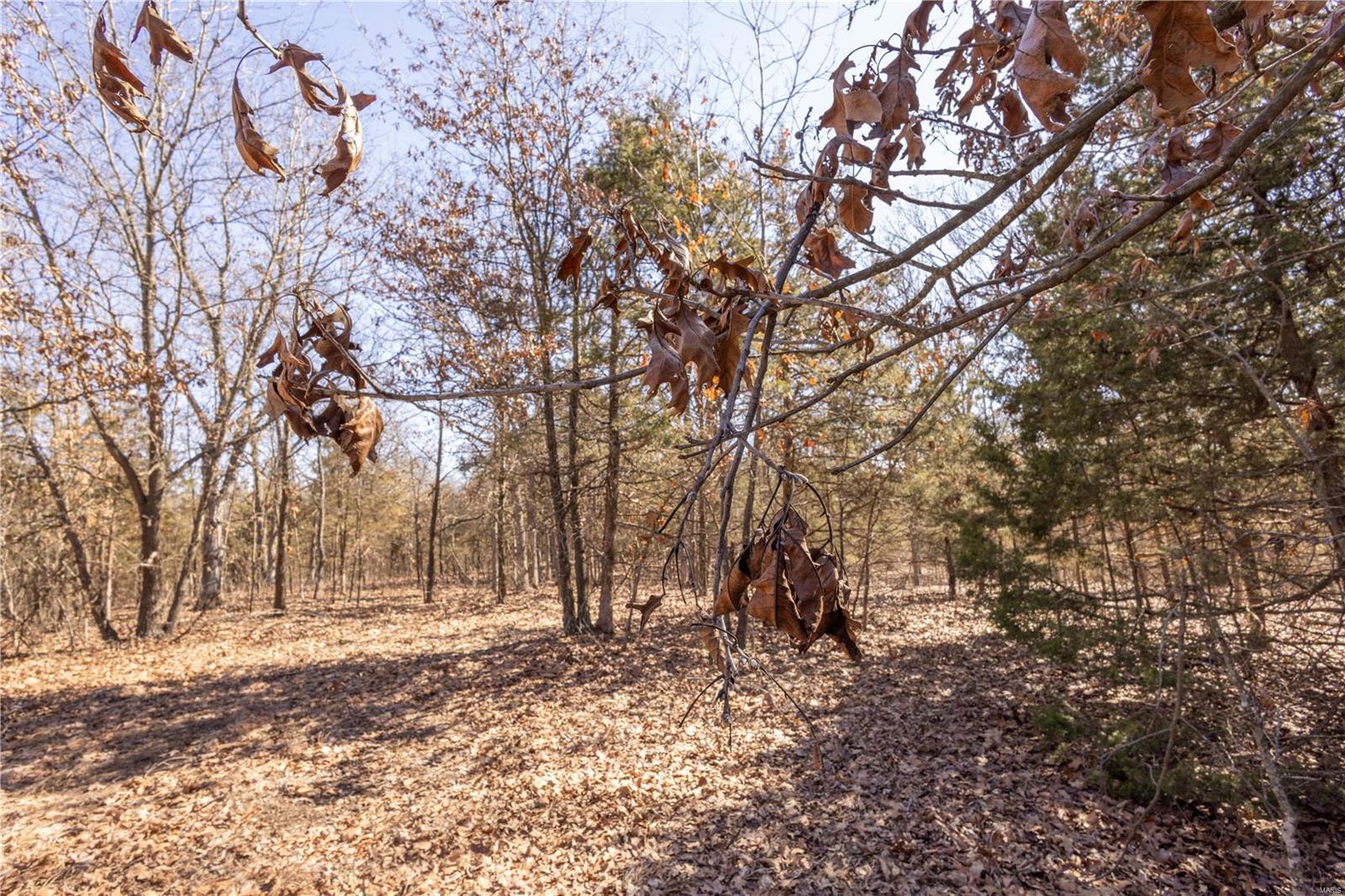 343 Monroe Road Property Photo 7