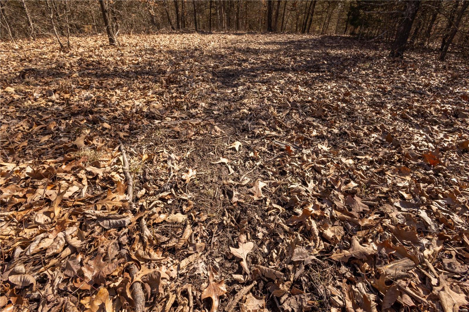 343 Monroe Road Property Photo 15