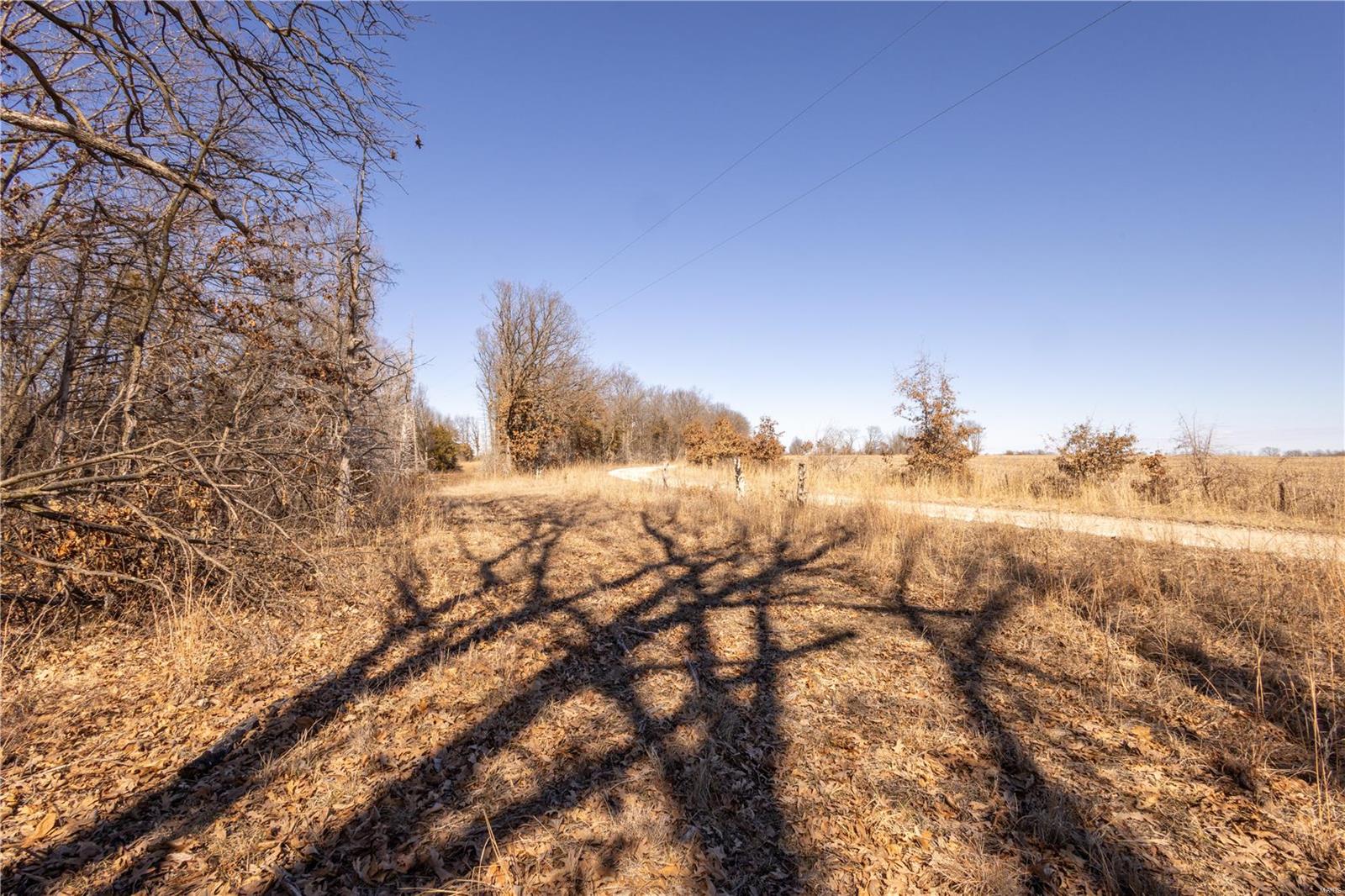 343 Monroe Road Property Photo 20