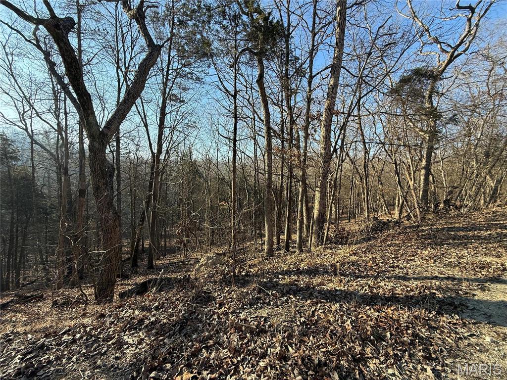0 Lot 21 Timber Ridge Estates Property Photo 3