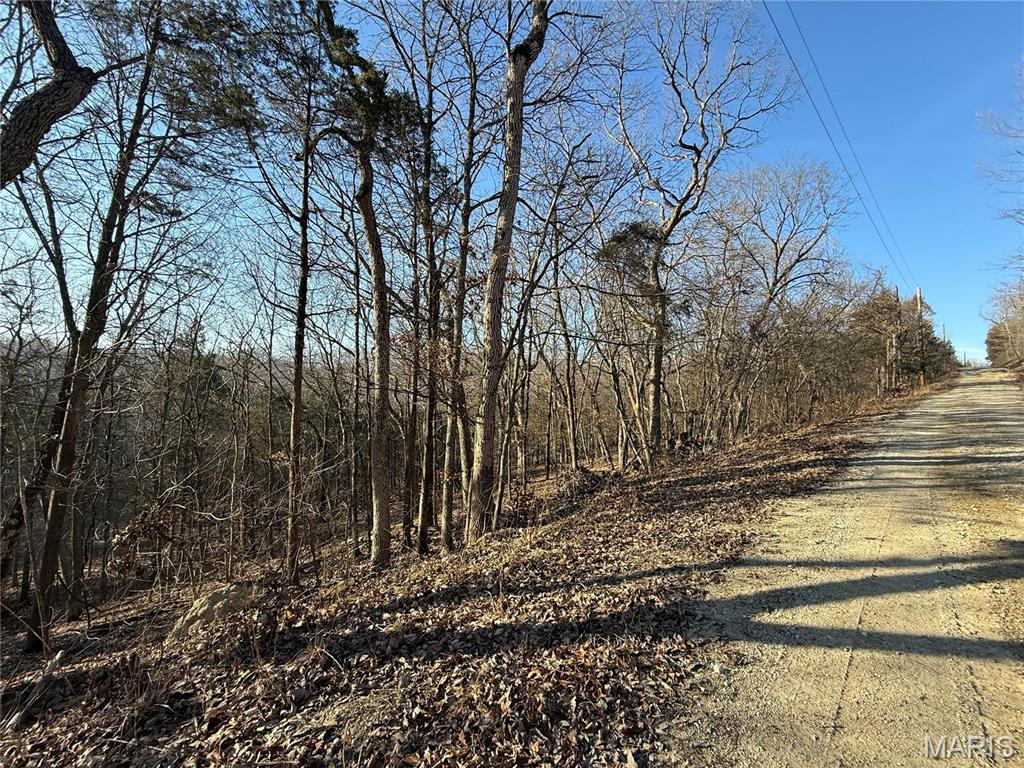 0 Lot 21 Timber Ridge Estates Property Photo 4