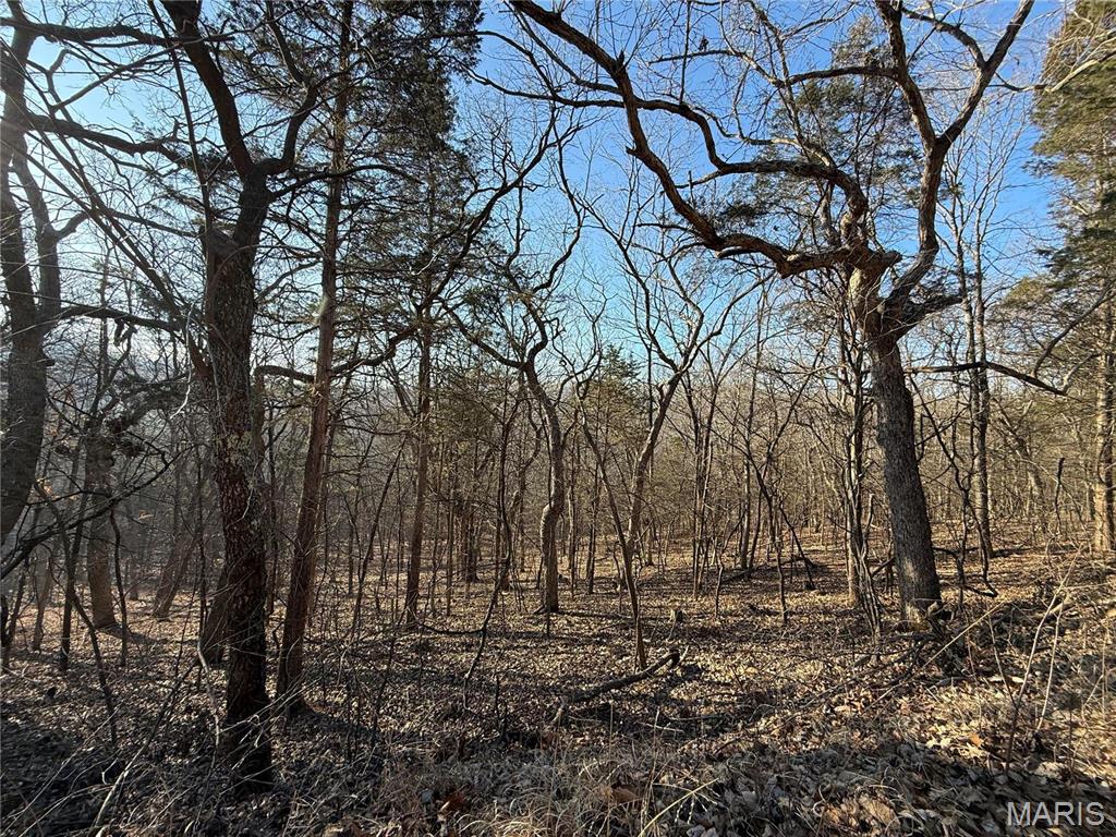 0 Lot 21 Timber Ridge Estates Property Photo 5