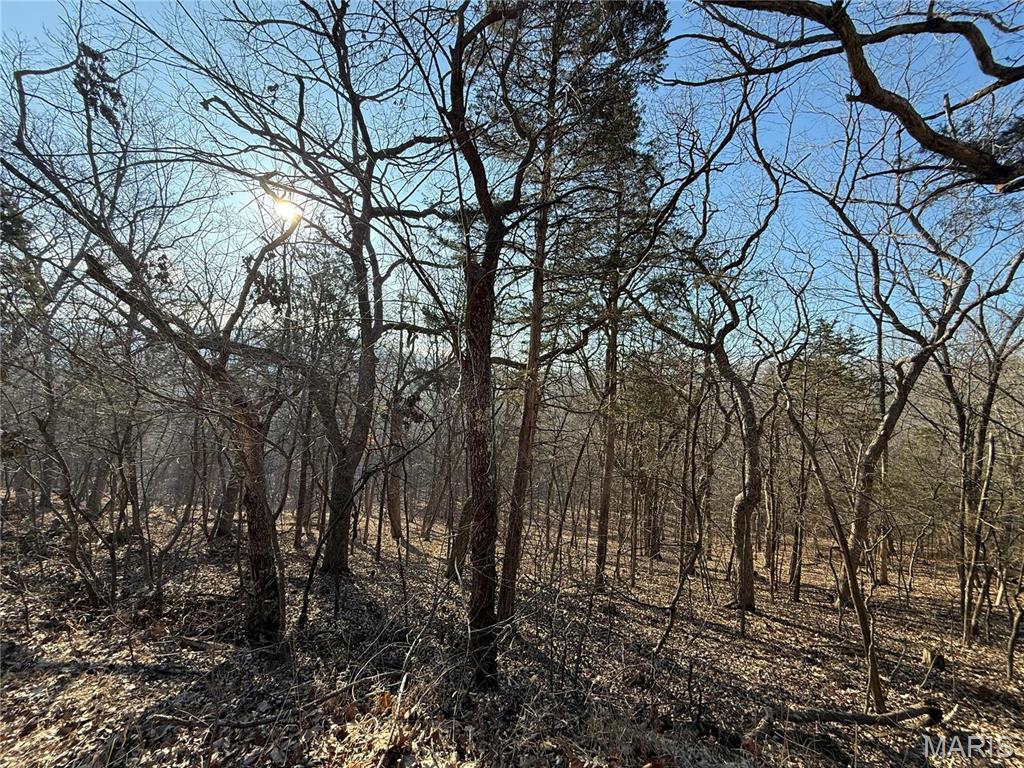 0 Lot 21 Timber Ridge Estates Property Photo 6