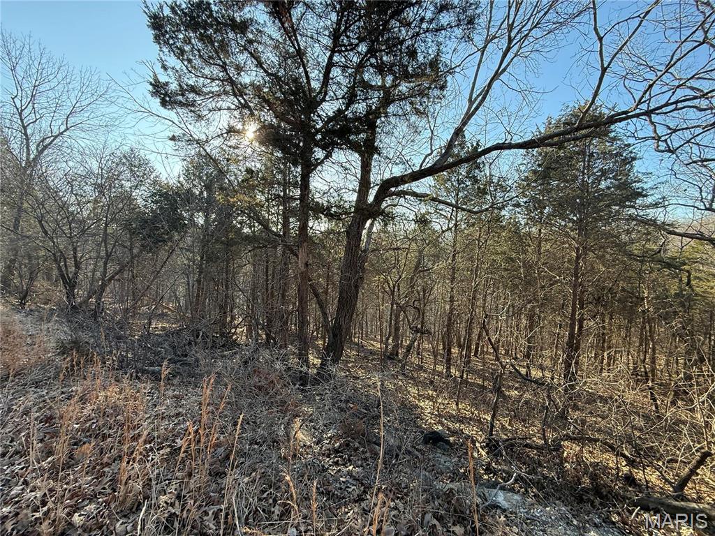 0 Lot 21 Timber Ridge Estates Property Photo 7