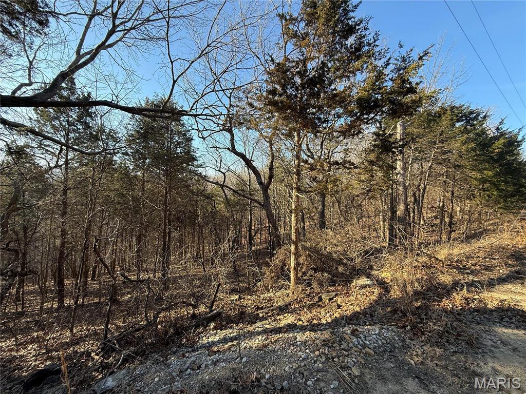 0 Lot 21 Timber Ridge Estates Property Photo 8