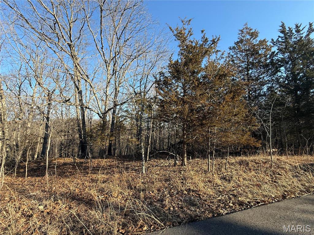 0 Lot 24 Timber Ridge Property Photo 3