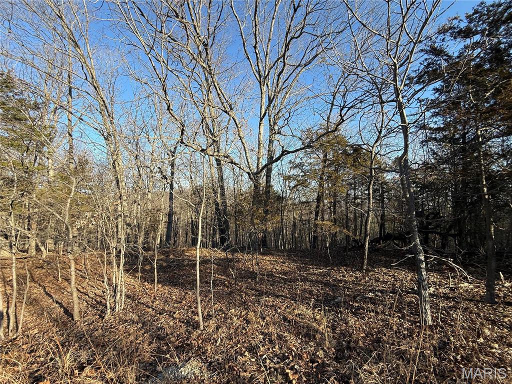 0 Lot 24 Timber Ridge Property Photo 5