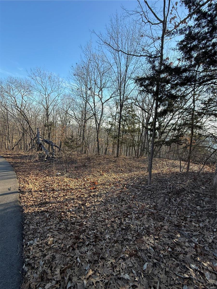 1652 Timber Bluff Trail Property Photo 3