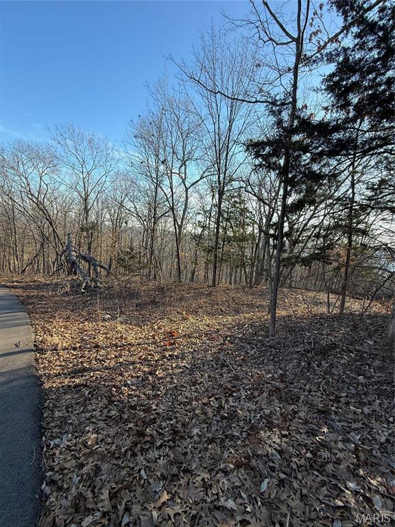 1652 Timber Bluff Trail Property Photo 3