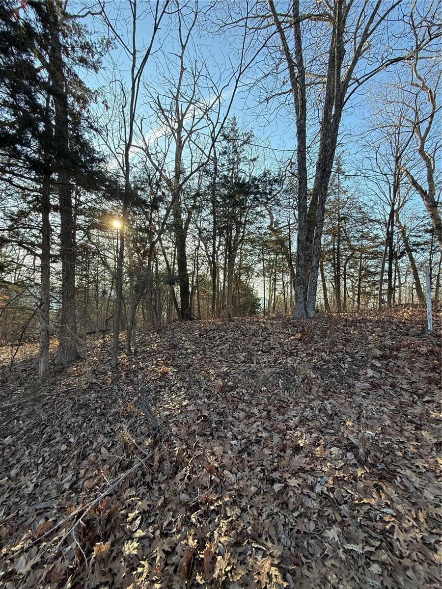 1652 Timber Bluff Trail Property Photo 4