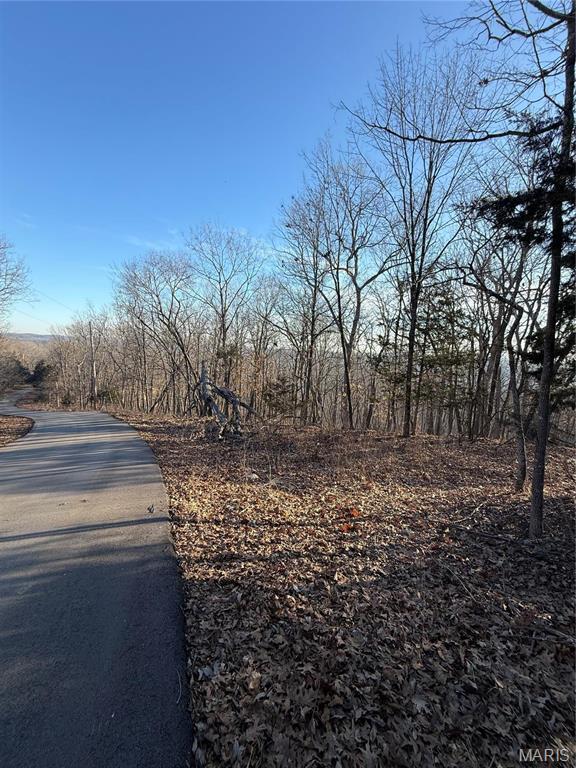 1652 Timber Bluff Trail Property Photo 5