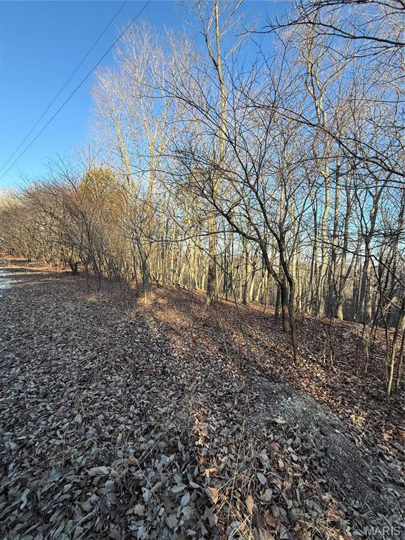 1633 Timber Bluff Trail Property Photo 3