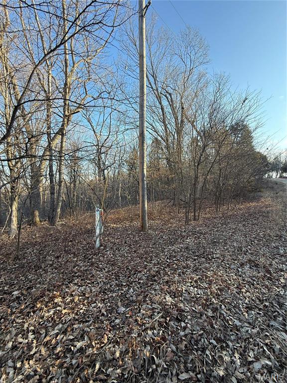 1633 Timber Bluff Trail Property Photo 4