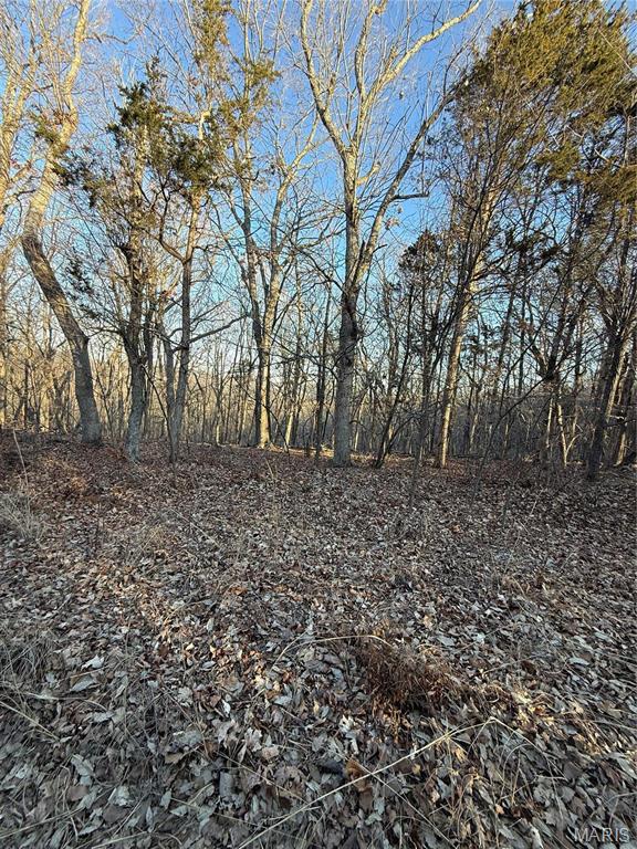 1633 Timber Bluff Trail Property Photo 5