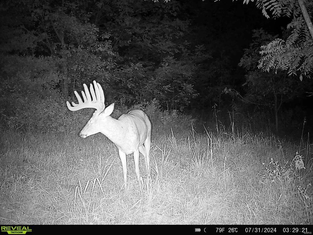 0 Osage Dr Property Photo 9