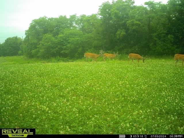 0 Osage Dr Property Photo 10