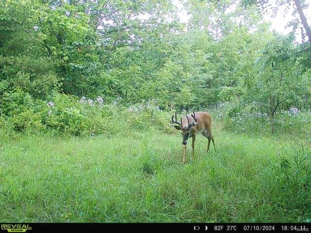 0 Osage Dr Property Photo 13