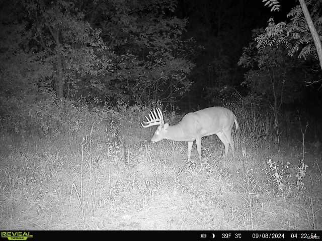 0 Osage Dr Property Photo 18