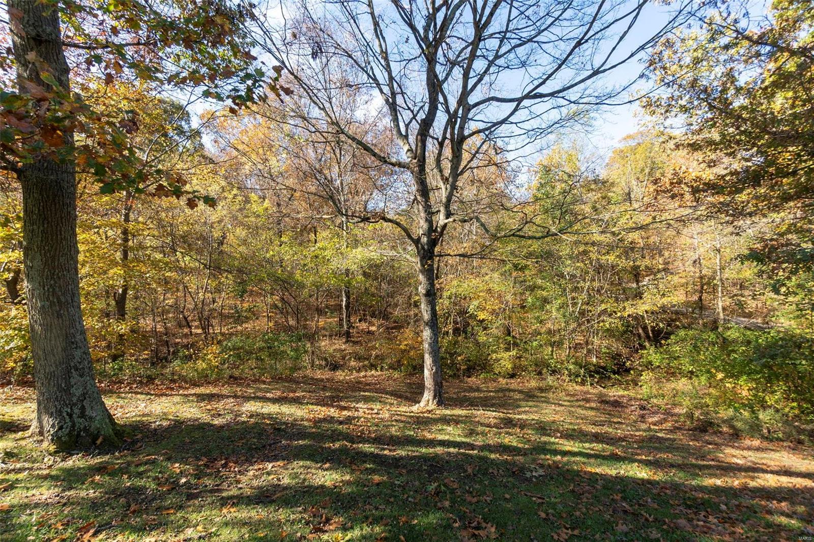 409 Oak Forest Property Photo 47