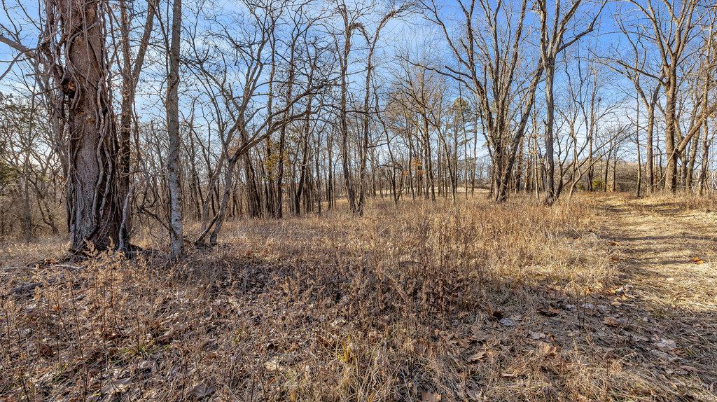 0 Hwy Mm Property Photo 4